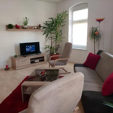 Apartments Irena Burkert Chemnitz Extérieur photo