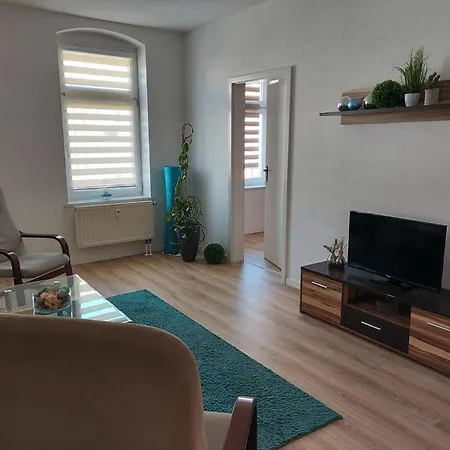 Apartments Irena Burkert Chemnitz Extérieur photo