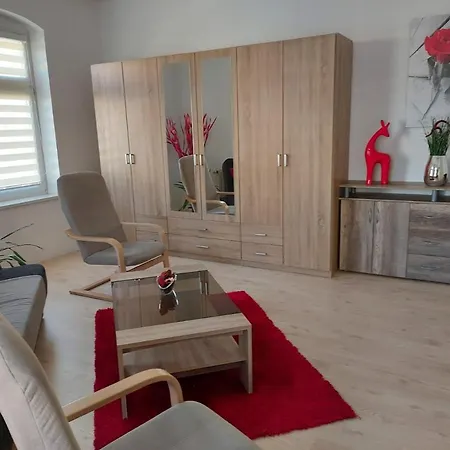 Apartments Irena Burkert Chemnitz Extérieur photo